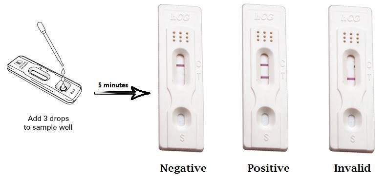 Pregnancy Test Kit 