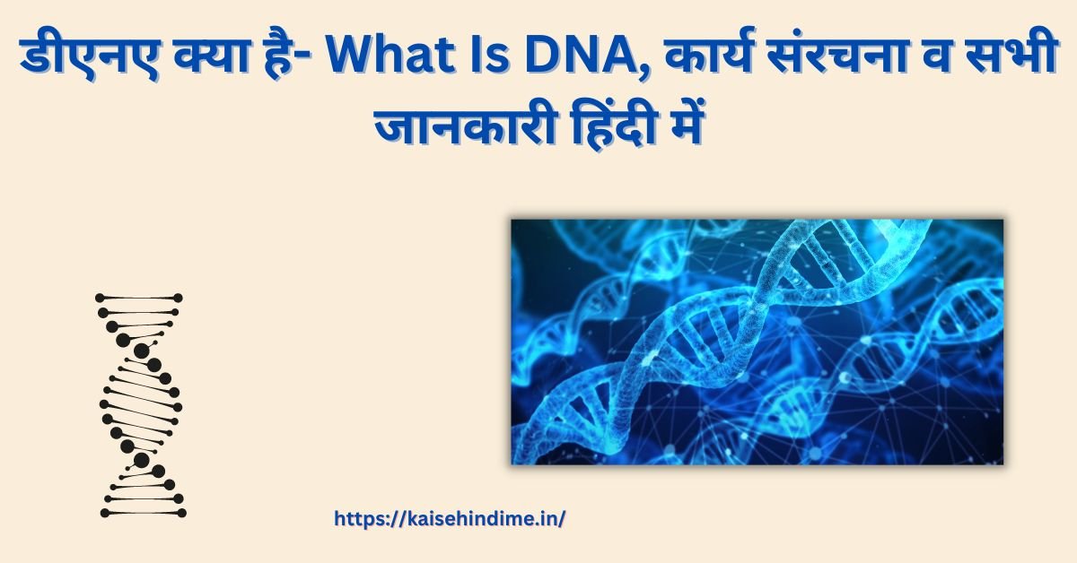 DNA Kya Hai