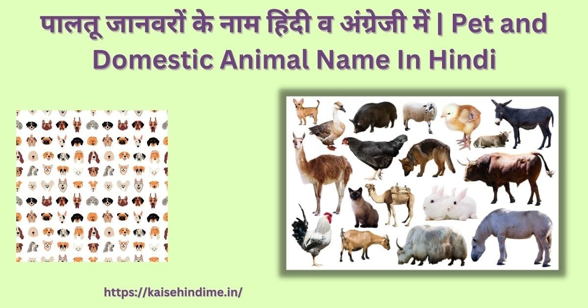 Pet and Domestic Animal Name In Hindi